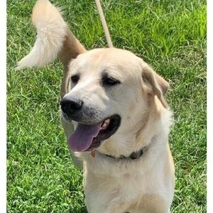 Meet your Posher, Robyn